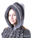 шиншилла