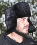 Ондатра